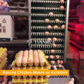 Automatische Huhn Ei Geflügel Bauernhof Ei Sammelmaschine